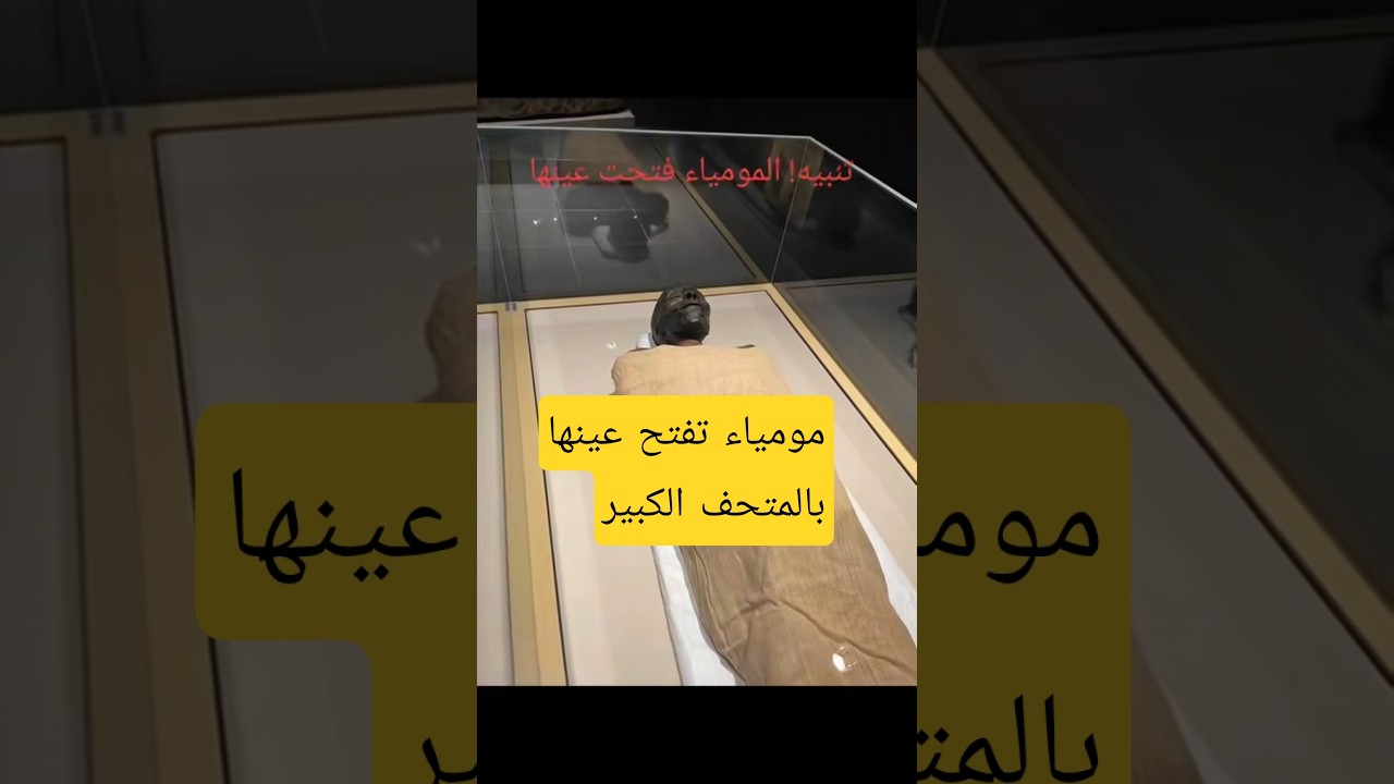 فيديو المومياء التي فتحت عينيها يشعل الجدل على مواقع التواصل
