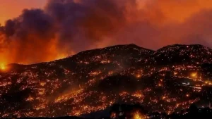 حرائق الجزائر.. 73 وفاة وتحقيقات لكشف أسباب اندلاع النيران وسط ظروف مناخية قاسية