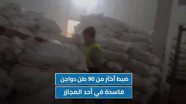 ضبط دواجن فاسدة في الإسماعيلية خلال حملة مكبرة