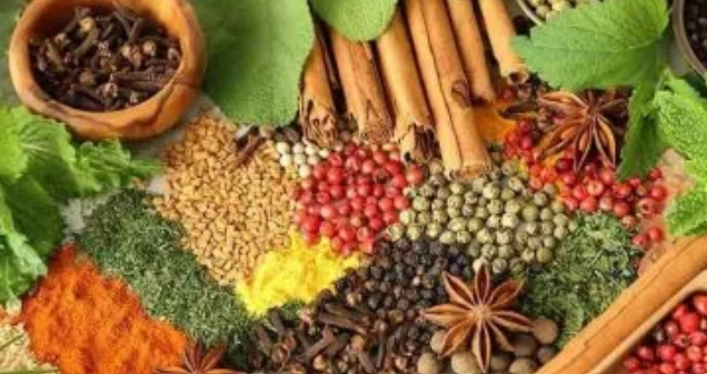 أعشاب تقوي الذاكرة والتركيز استعدادًا للعام الدراسي